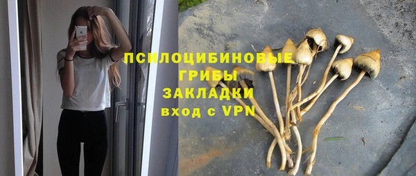 прущая мука Армянск